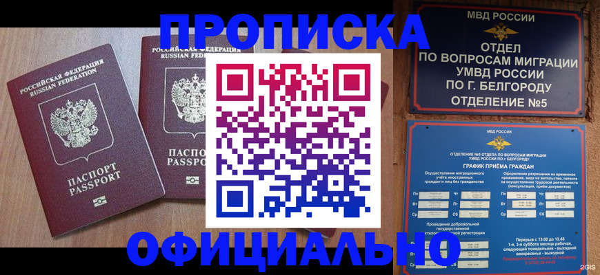 найти адрес прописки в Светлограде